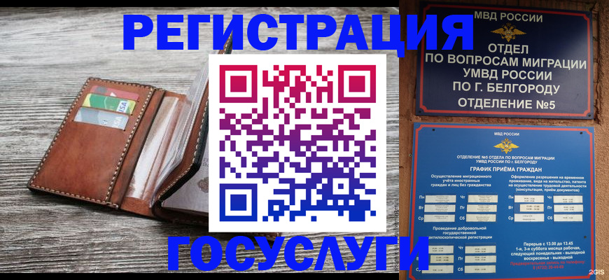прописка 2025 в Свободном
